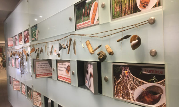 Un luogo d’arte dove stare bene.<br>Il Museo d’Arte Cinese ed Etnografico.